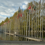 DSC00586-w740_h495